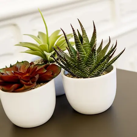 Hotel Western Royal Superga 4*